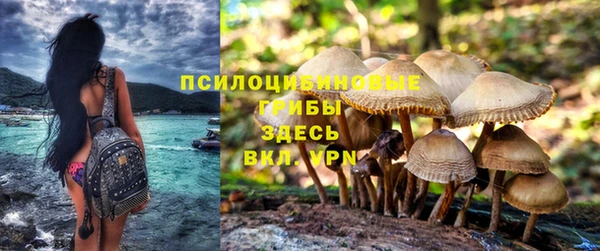 стафф Беломорск