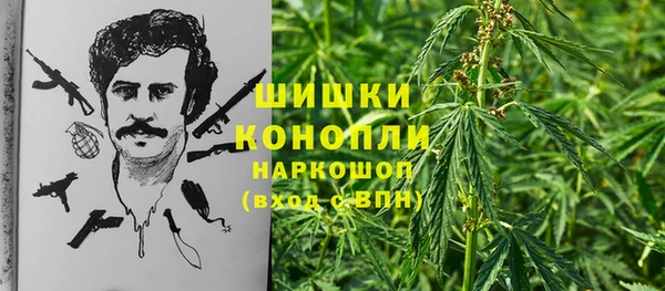 прущий лед Арсеньев