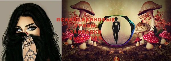 стафф Беломорск