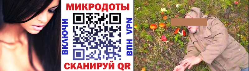 цены наркотик Кингисепп Псилоцибиновые грибы ЛСД